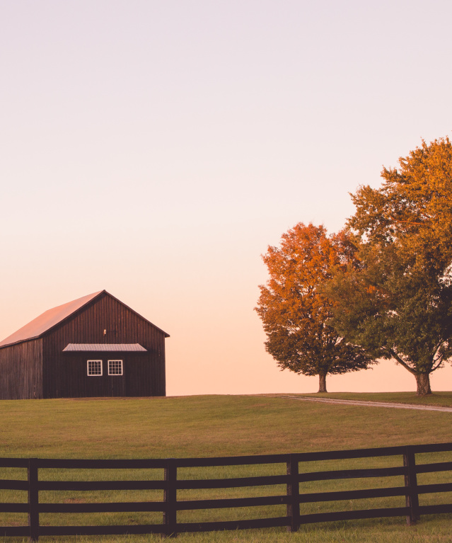 Best Time To See Fall Foliage in ShelbyKY