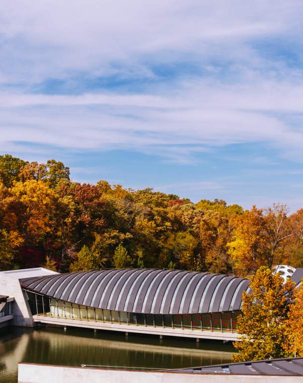 Fall Visit Guide