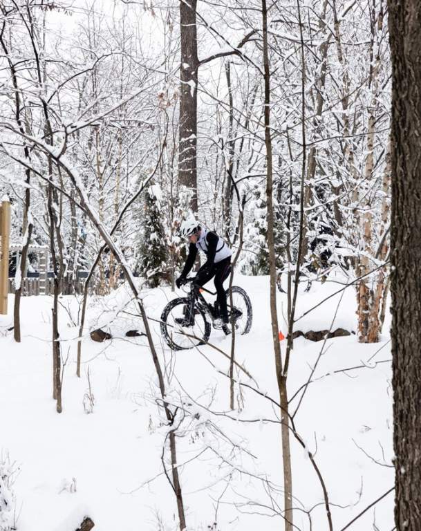 Welcome to Bentonville—Send It South