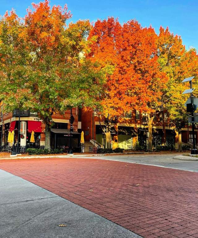 fall astoria caffe