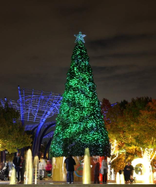 Tree Lighting 2