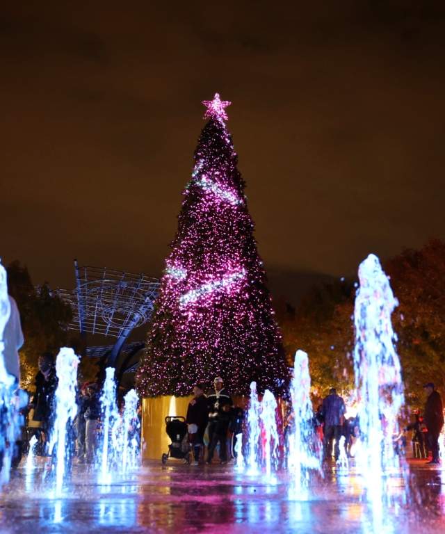 Lit Tree with Fountain