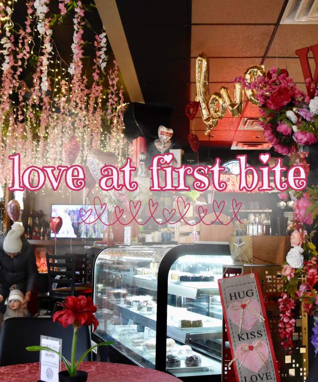 valentine's love at first bite