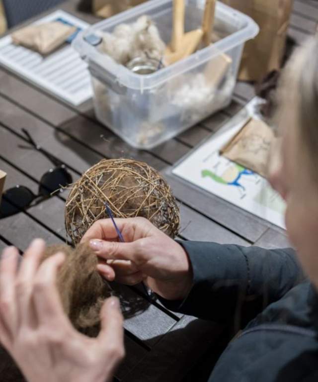 Alpaca Fibre experience