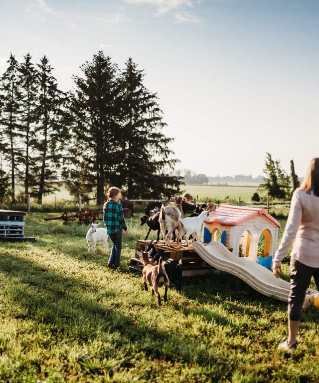 taste of farm life family friendly