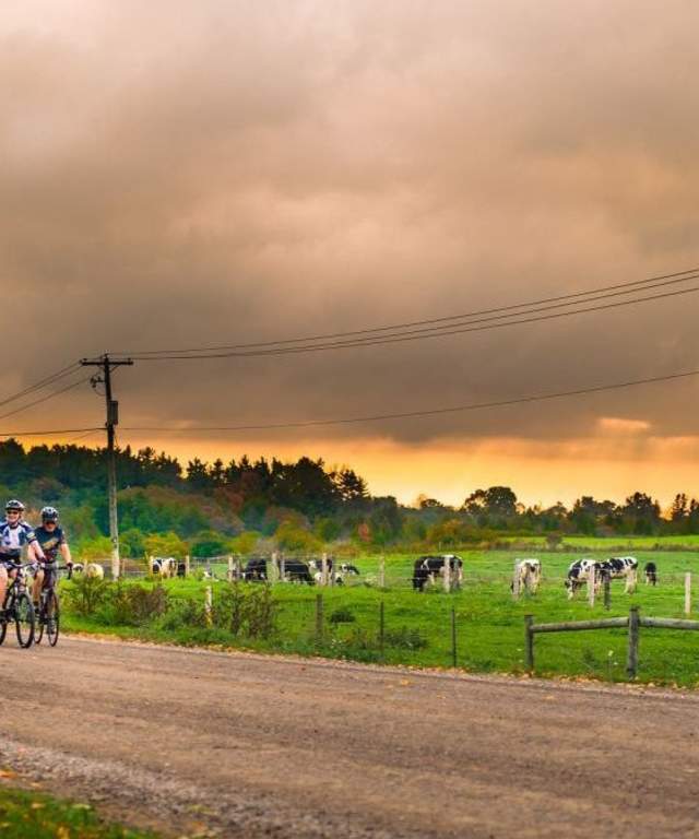 Gravel road cycling