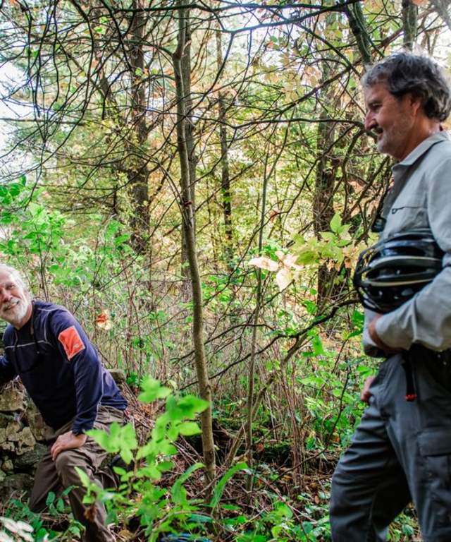 Nith River Forest Hiking