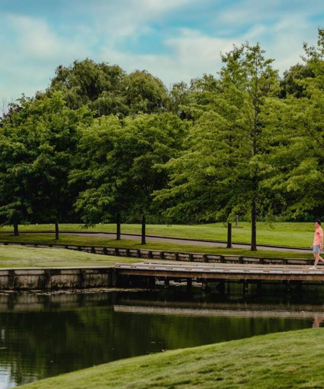 people walking in a park