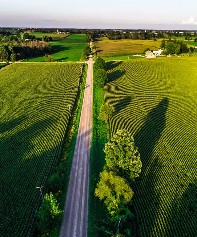 Rural-road-drone