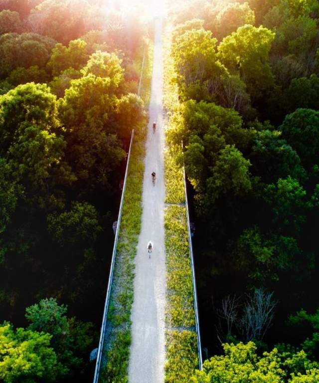 bicycles on a bridge