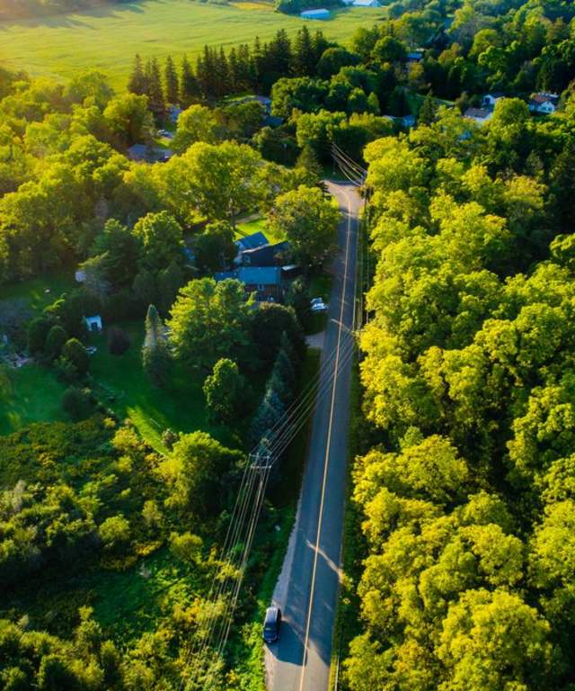 Long road surrounded by trees