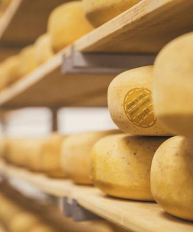 Gunns Hill Cheese