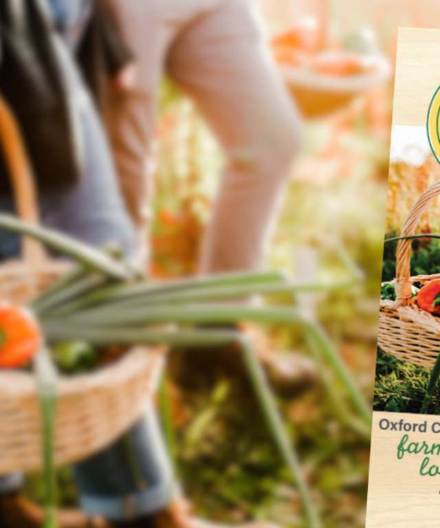 Oxford Fresh brochure