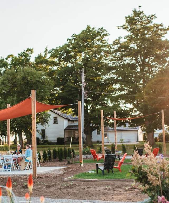 Golden Hour Palettes