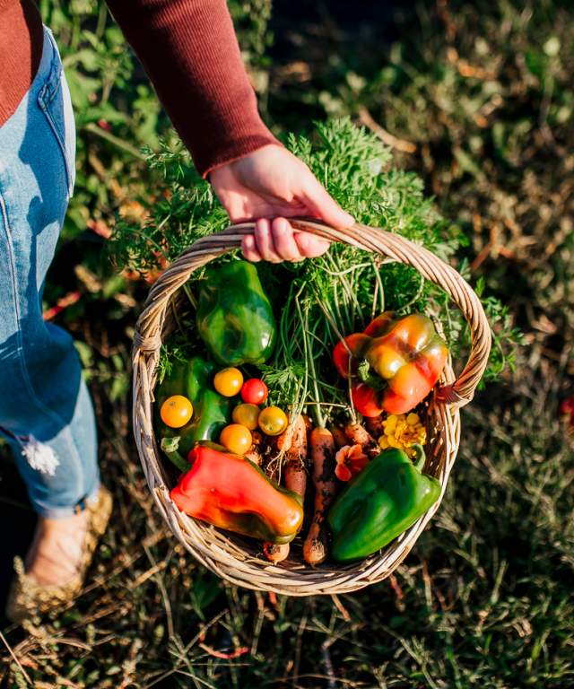 Oxford Fresh basket of veg