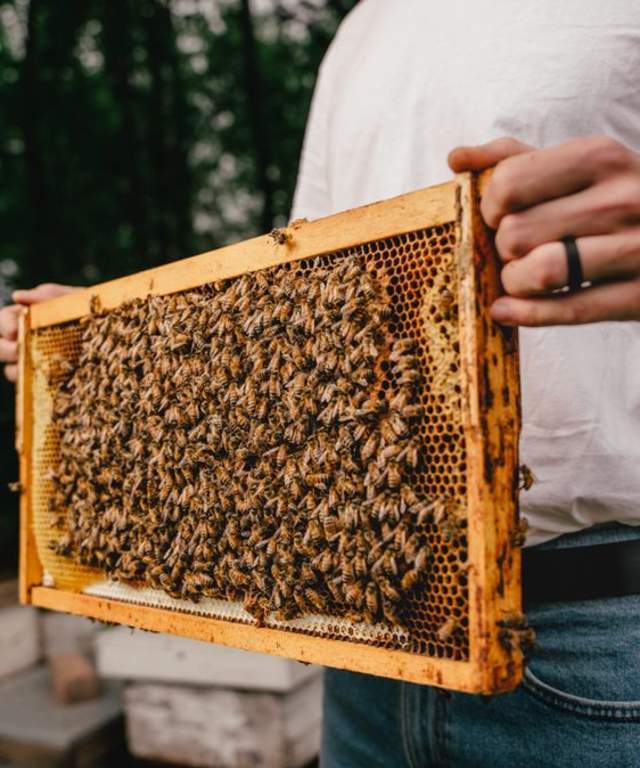 Man holding a beehive