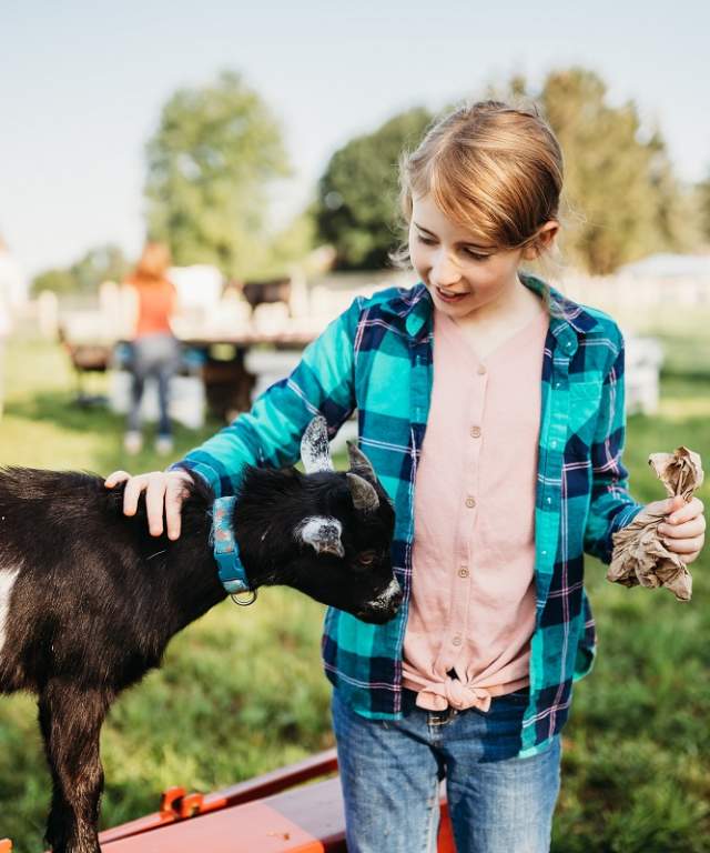 Udderly Ridiculous farm