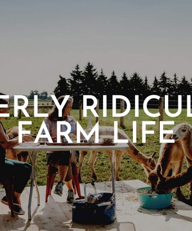 Experience Udderly Ridiculous Farm Life