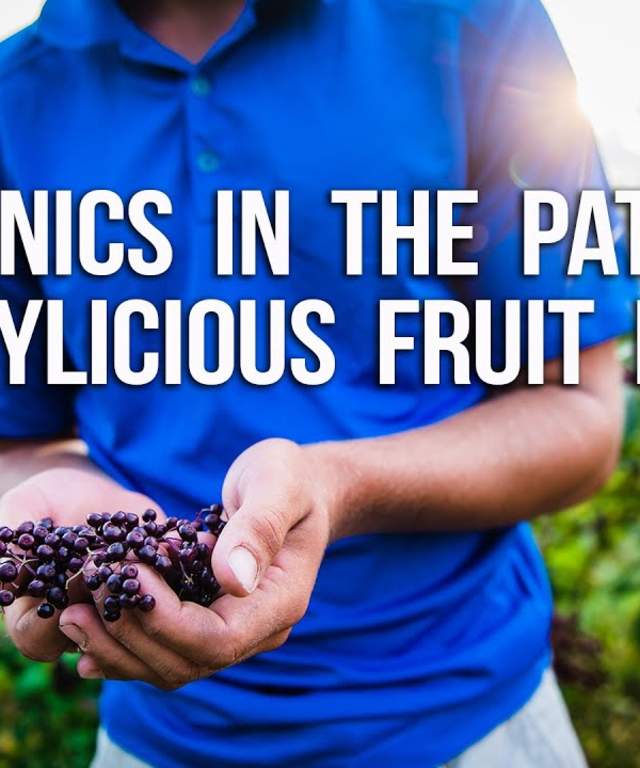 Picnics in the Patch with Berrylicious Fruit Farm
