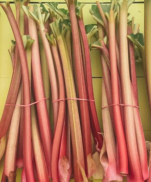 Rhubarb