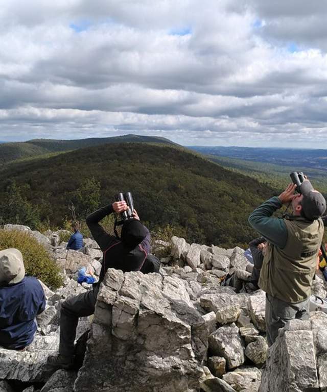 Hawk Mountain Sanctuary
