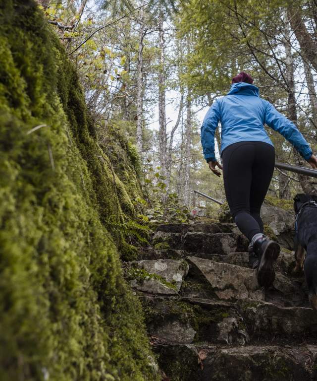 Hiker and dog climb trail steps to peak of Valentine Mountain