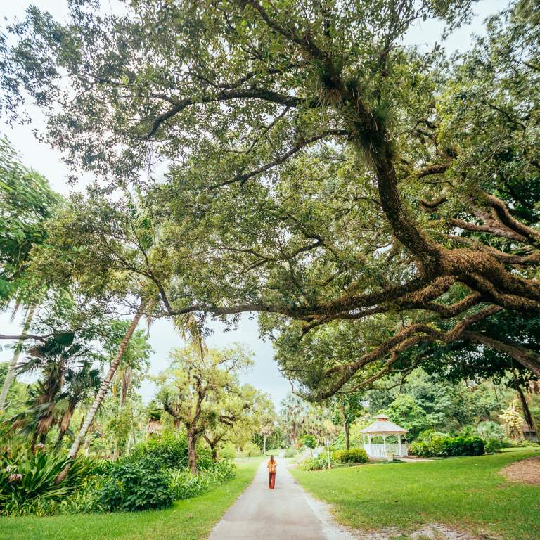 Person Walking Along A Path At Flamingo Gardens In Davie