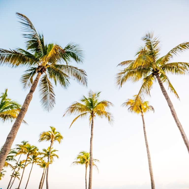 AJR Fort Lauderdale Beach