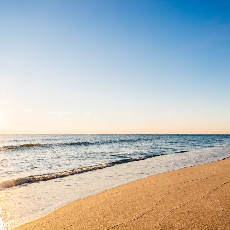 Sunny View Of Fort Lauderdale Beach