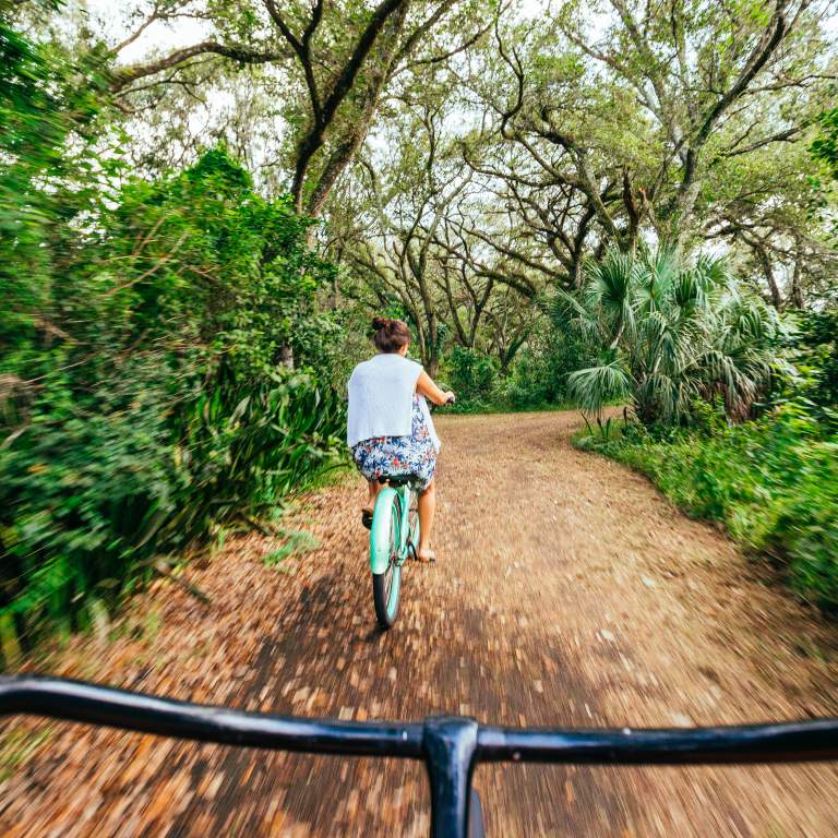 Park Bike Riding, Tree Top Park