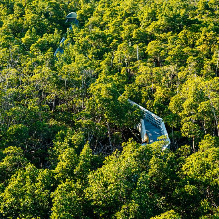 Anne Kolb Nature Center