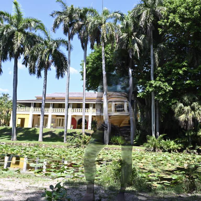 Bonnet House - Hidden In Plain Sight