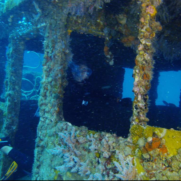 Scuba Diving