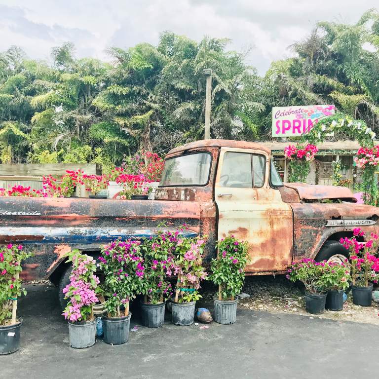 Flamingo Nursery