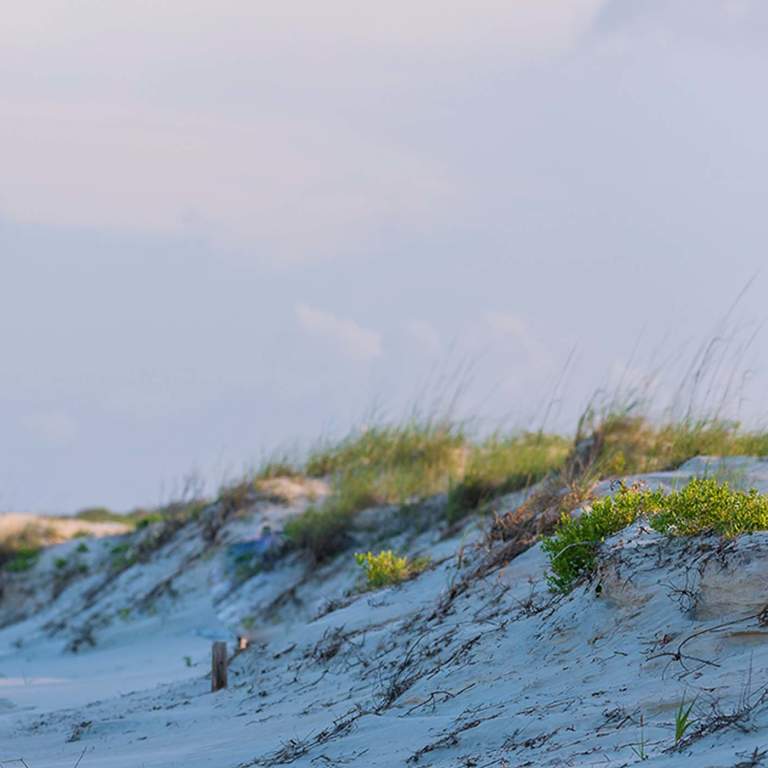 How to Plan the Perfect Honeymoon on the Georgia Coast