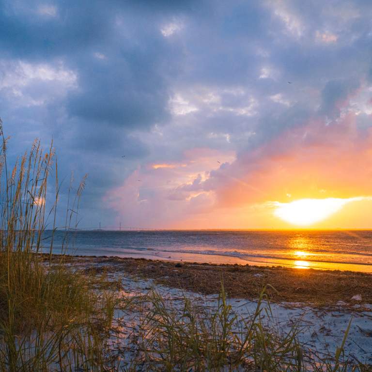Best Beaches in the Golden Isles: A Local's Guide
