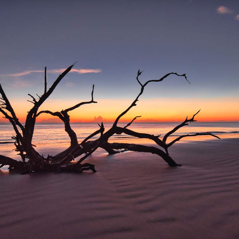 Nature Photography: Best Locations & Tips