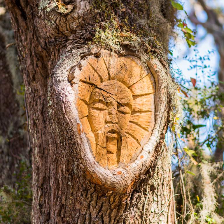 One of the famous and mysterious St. Simons Island Tree Spirits