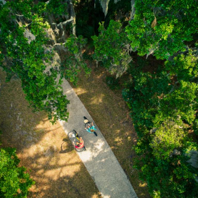 Biking the Golden Isles: Top Trails and Rentals