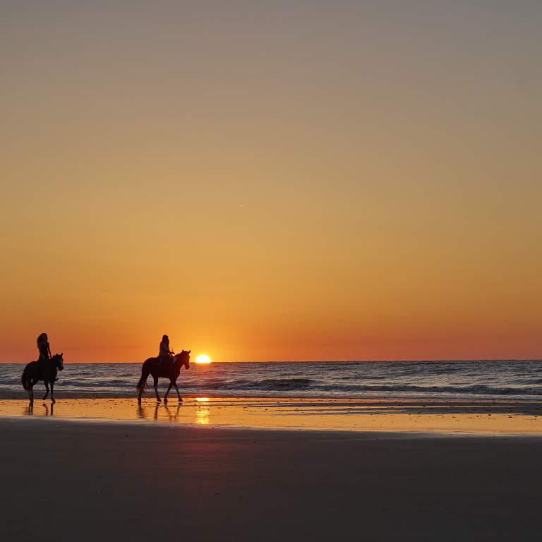 Saddle Up! Guide to Horseback Riding in the Golden Isles
