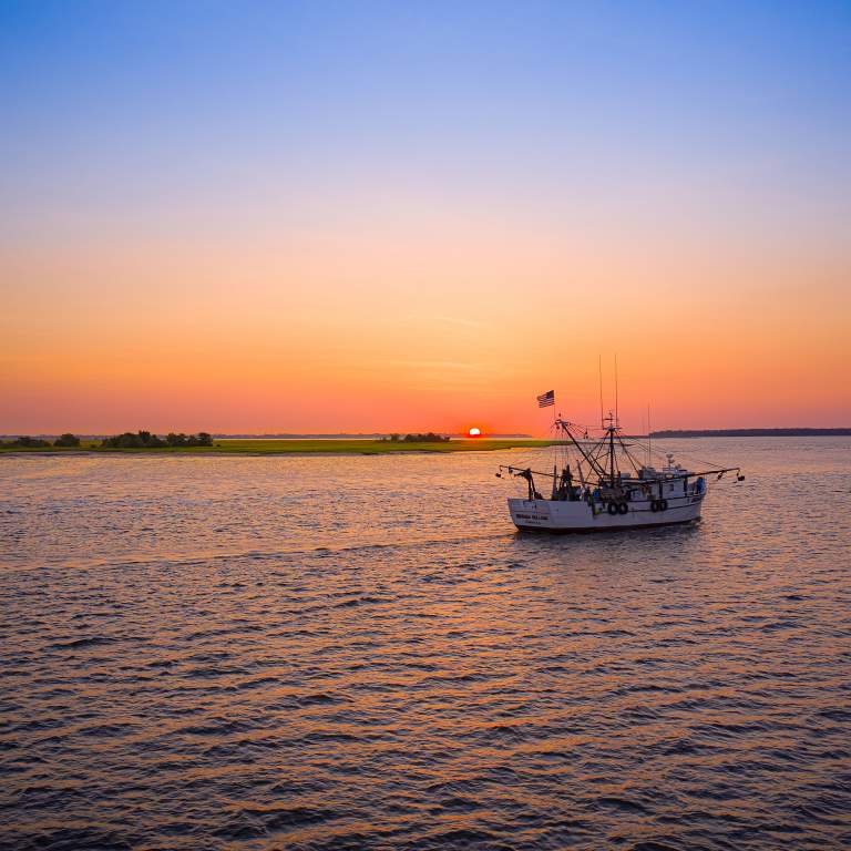Best Seafood Restaurants: Fresh Catch