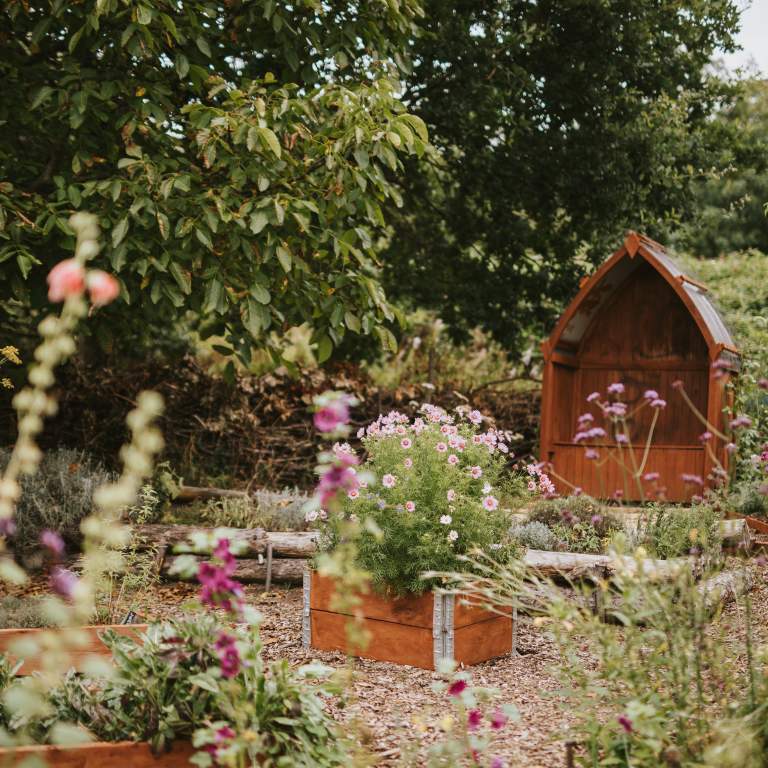 A view of Liquorice Park community garden in Lincoln, with spring flowers in the forefront