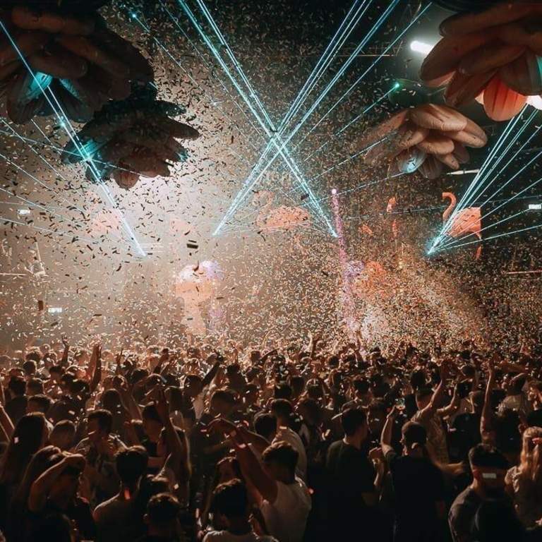 Groove to the Rhythm: Southampton's vibrant music scene awaits