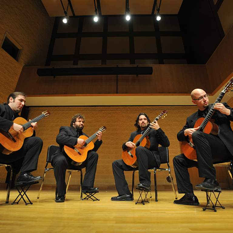 Group of guitarists performing