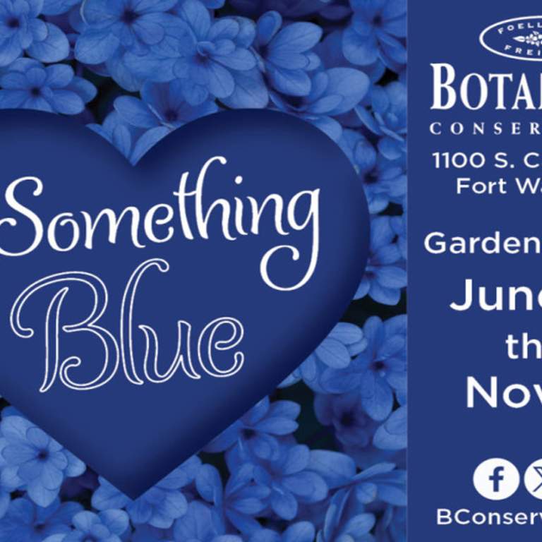 ...Something Blue