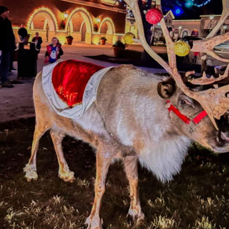 Santa’s Reindeer at Jefferson Pointe