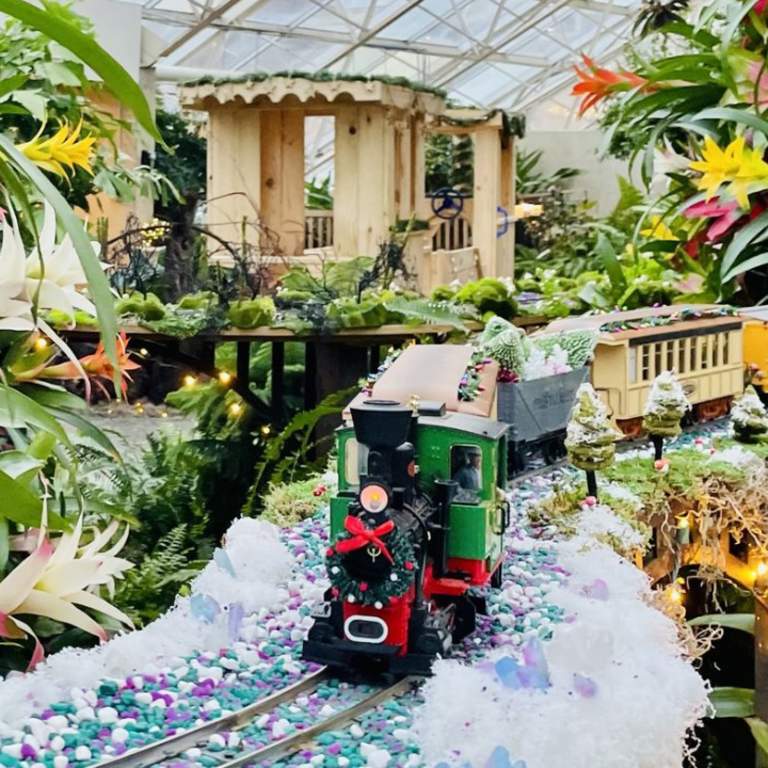 Fern's Fairylight Express