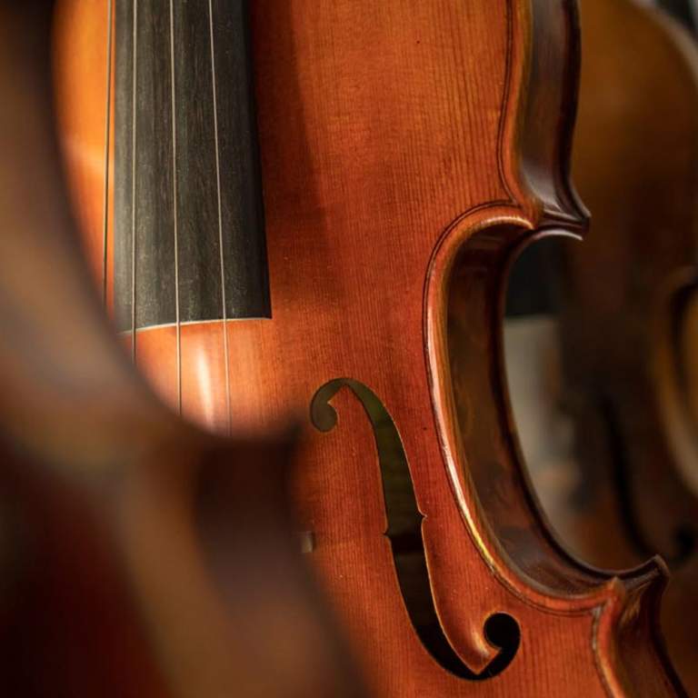 A violin in promotion for Brass and Brahms