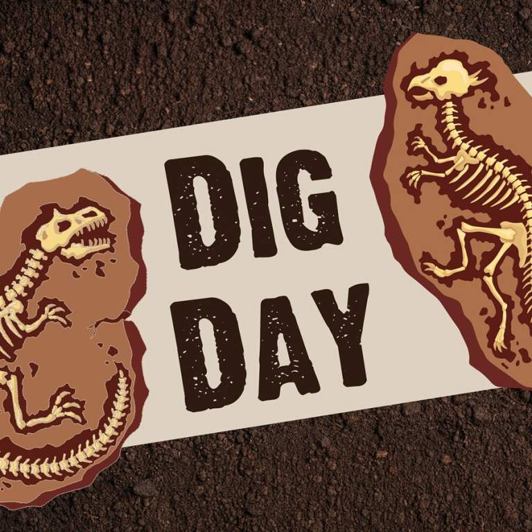 Flyer image for Dig Day