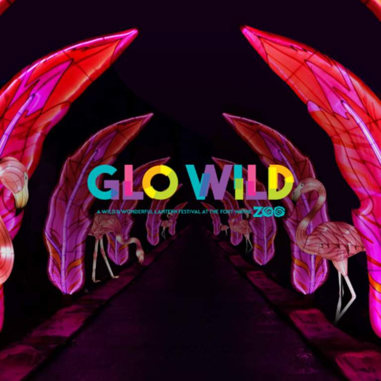 Glo Wild at the Fort Wayne Zoo